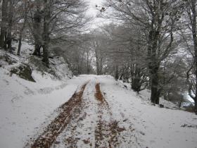 photo coins arrondis