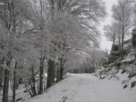 photo coins arrondis