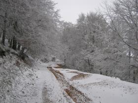 photo coins arrondis