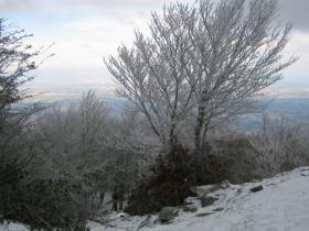 photo coins arrondis