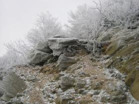 photo coins arrondis