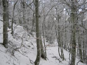 photo coins arrondis