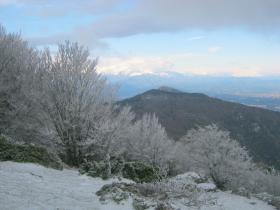 photo coins arrondis