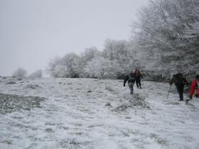 photo coins arrondis