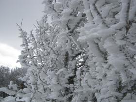 photo coins arrondis