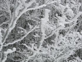 photo coins arrondis