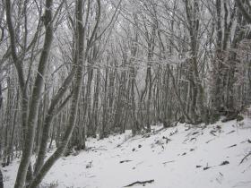 photo coins arrondis