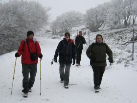 photo coins arrondis