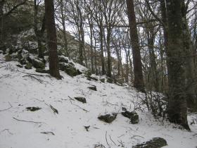 photo coins arrondis