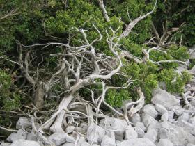 photo coins arrondis