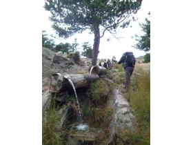 photo coins arrondis