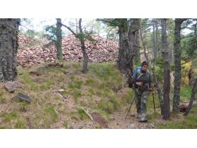 photo coins arrondis