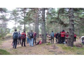 photo coins arrondis