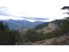 photo coins arrondis