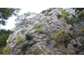 photo coins arrondis