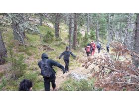 photo coins arrondis