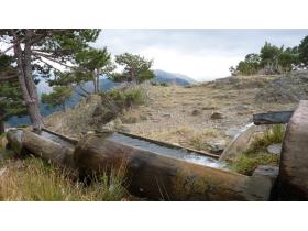 photo coins arrondis