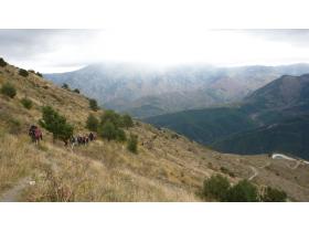 photo coins arrondis