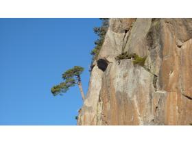 photo coins arrondis