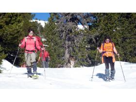 photo coins arrondis