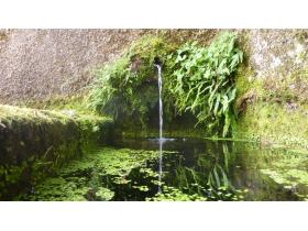 photo coins arrondis