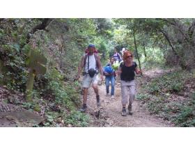 photo coins arrondis