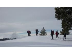 photo coins arrondis