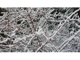 photo coins arrondis