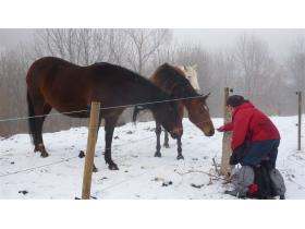 photo coins arrondis