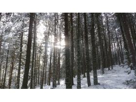 photo coins arrondis