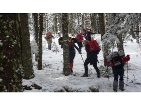 photo coins arrondis