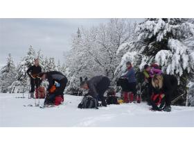 photo coins arrondis