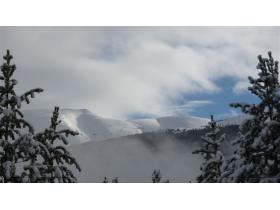 photo coins arrondis