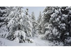 photo coins arrondis