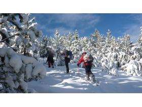 photo coins arrondis