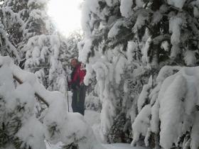 photo coins arrondis