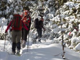 photo coins arrondis