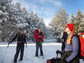 photo coins arrondis