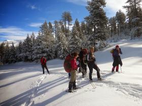 photo coins arrondis