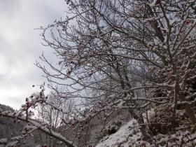 photo coins arrondis