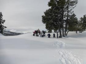 photo coins arrondis