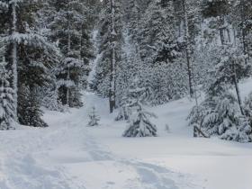 photo coins arrondis