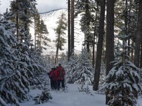 photo coins arrondis