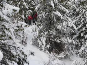 photo coins arrondis