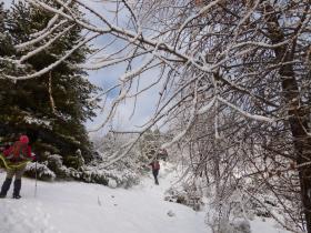 photo coins arrondis