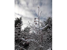 photo coins arrondis