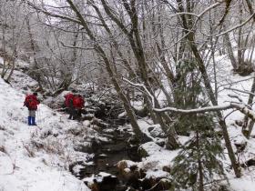 photo coins arrondis