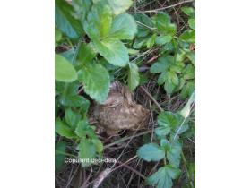 photo coins arrondis