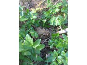 photo coins arrondis