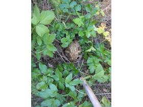 photo coins arrondis